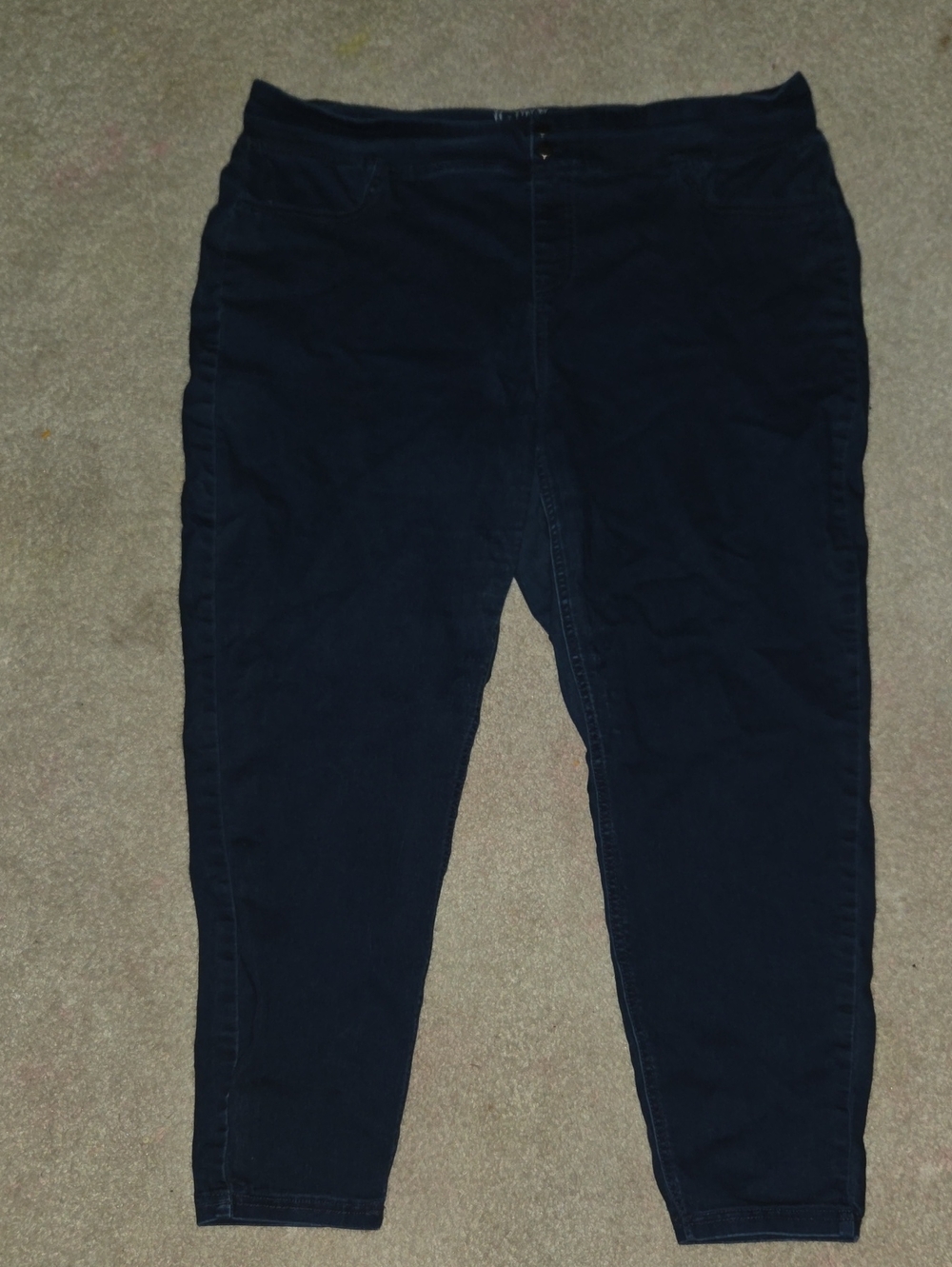Terra & Sky Dark Navy Jeggings